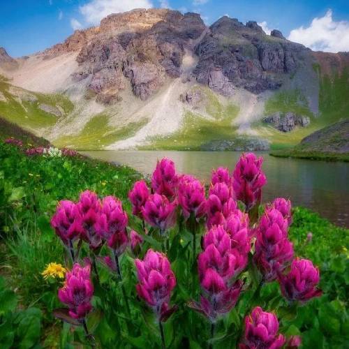 اورهان خیاوی سئویرم من سنی یار یار اورگیمده یرین وار وار